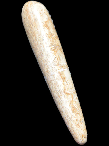 Dinosaur Bone Fossil massage wand from Madagascar 140mm 134g Rocks and Things Store
