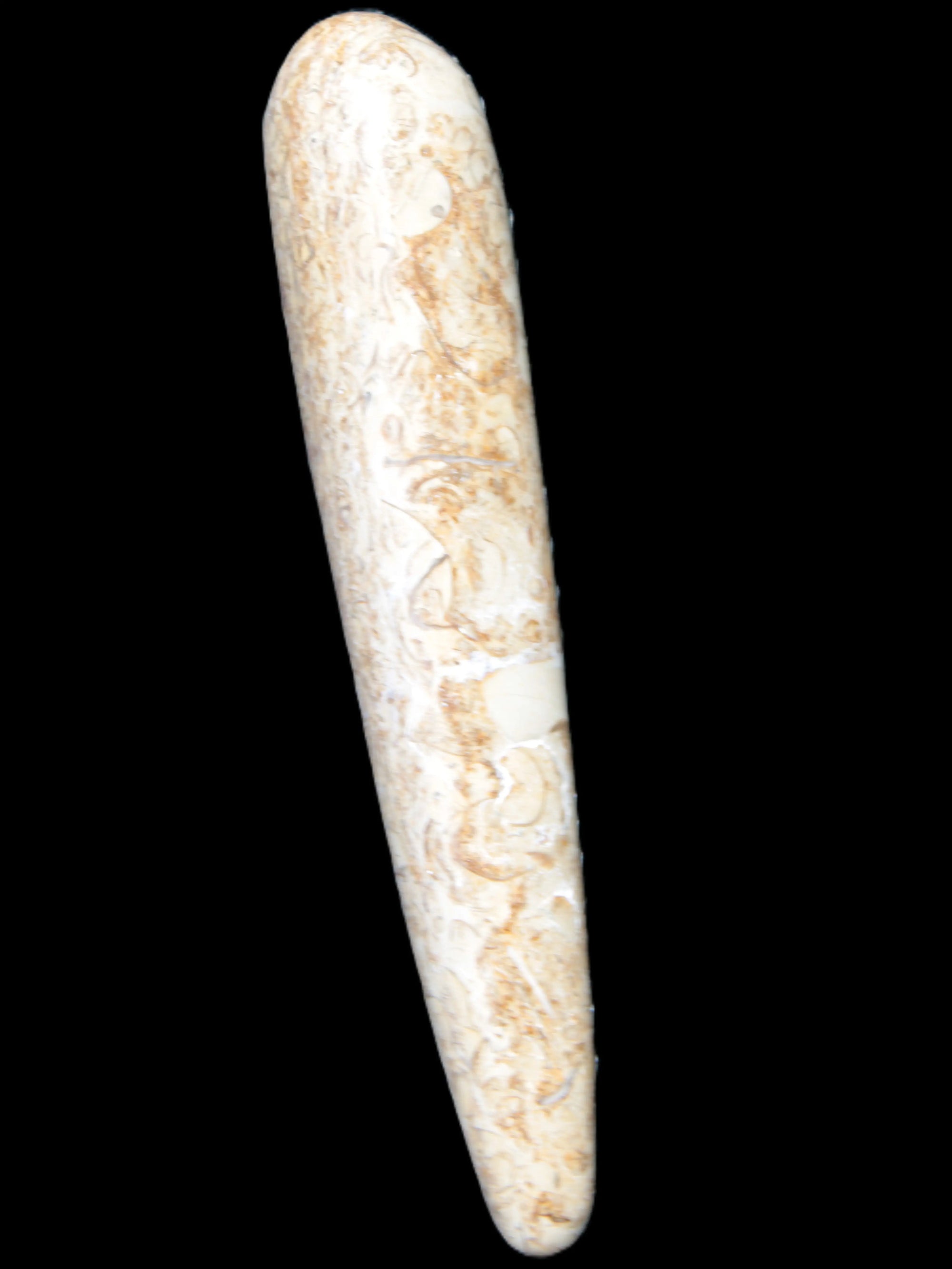 Dinosaur Bone Fossil massage wand from Madagascar 140mm 134g Rocks and Things Store