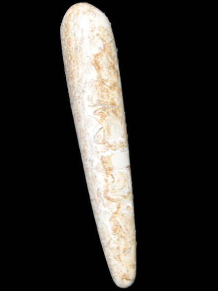 Dinosaur Bone Fossil massage wand from Madagascar 140mm 134g Rocks and Things Store