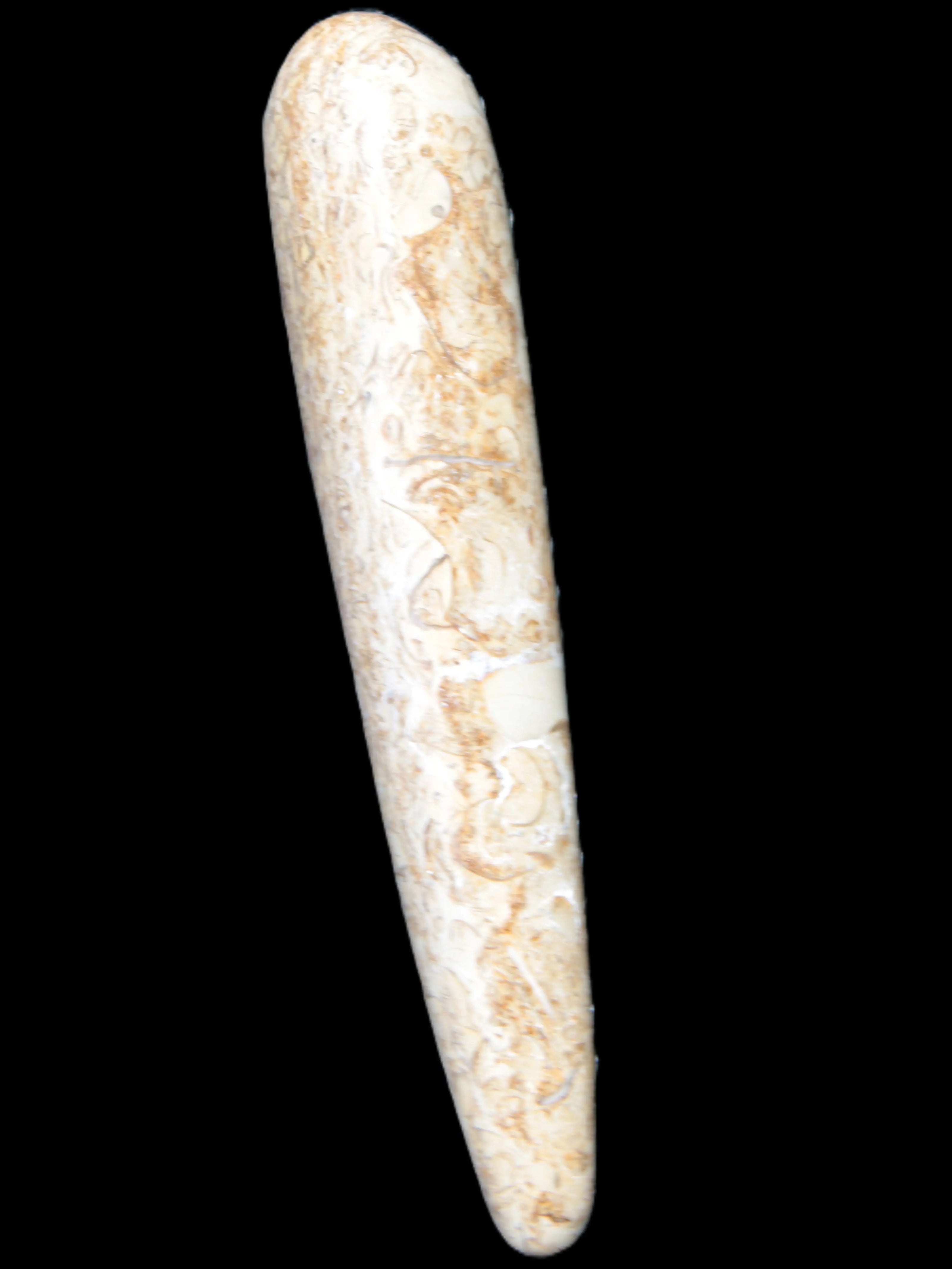 Dinosaur Bone Fossil massage wand from Madagascar 140mm 134g Rocks and Things Store