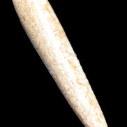 Dinosaur Bone Fossil massage wand from Madagascar 140mm 134g Rocks and Things Store