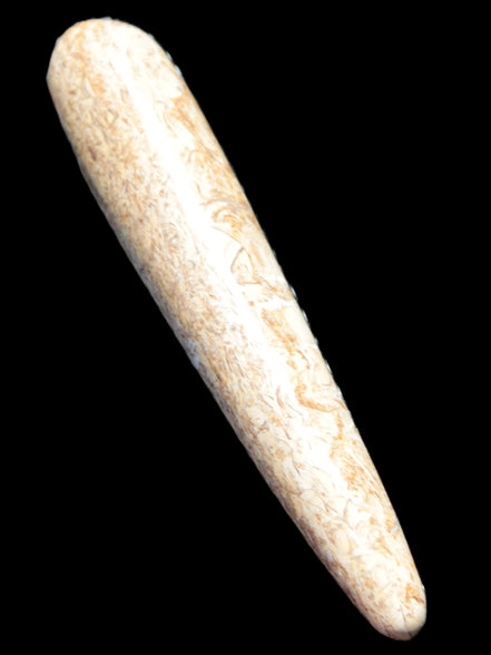 Dinosaur Bone Fossil massage wand from Madagascar 140mm 134g Rocks and Things Store