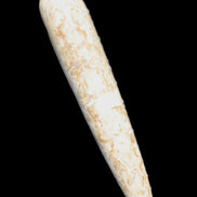 Dinosaur Bone Fossil massage wand from Madagascar 140mm 134g Rocks and Things Store
