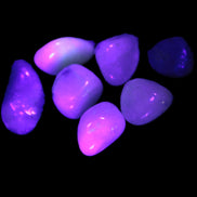 Dumortierite Blue hair Quartz 7 tiny crystals 7-9g Rocks and Things