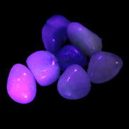 Dumortierite Blue hair Quartz 7 tiny crystals 7-9g Rocks and Things