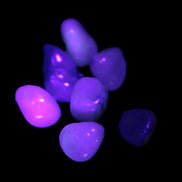 Dumortierite Blue hair Quartz 7 tiny crystals 7-9g Rocks and Things