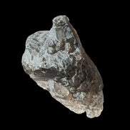 Etched Smoky Quartz from Himalaya 21g Rocks and Things Store