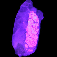 Fenster Enhydro Quartz with hydrocarbons 13-14g Rocks and Things Store