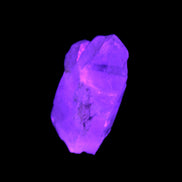 Fenster Enhydro Quartz with hydrocarbons 13-14g Rocks and Things Store