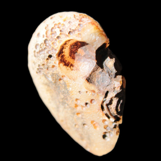Gobi Agate Eyes specimen from Mongolia 40*30*16mm 24.5g in sunlight - Rocks and Things Store