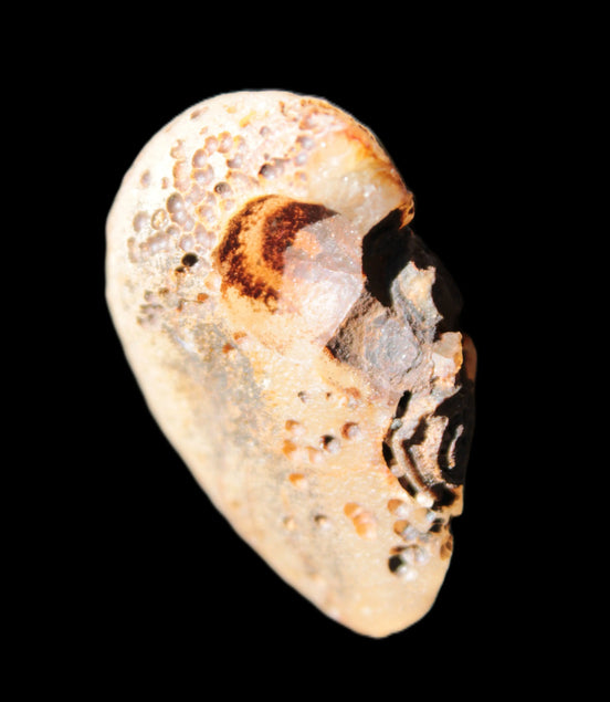Gobi Agate Eyes specimen from Mongolia 40*30*16mm 24.5g Rocks and Things Store
