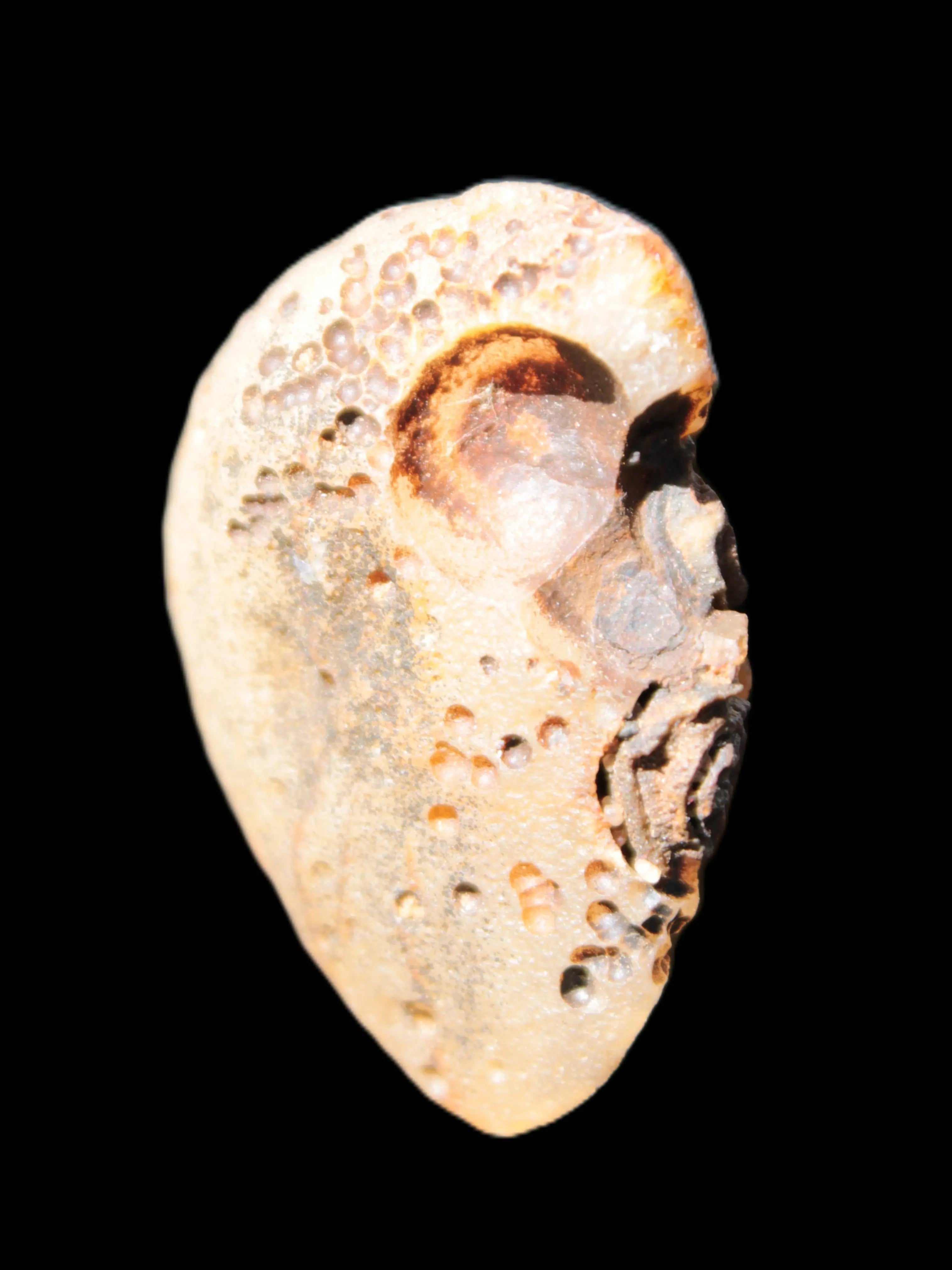Gobi Agate Eyes specimen from Mongolia 40*30*16mm 24.5g Rocks and Things Store