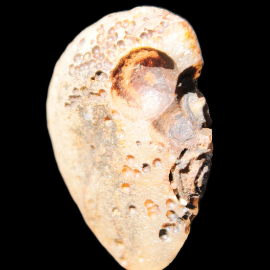 Gobi Agate Eyes specimen from Mongolia 40*30*16mm 24.5g in sunlight - Rocks and Things Store