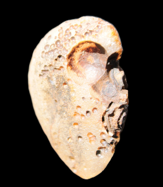 Gobi Agate Eyes specimen from Mongolia 40*30*16mm 24.5g Rocks and Things Store