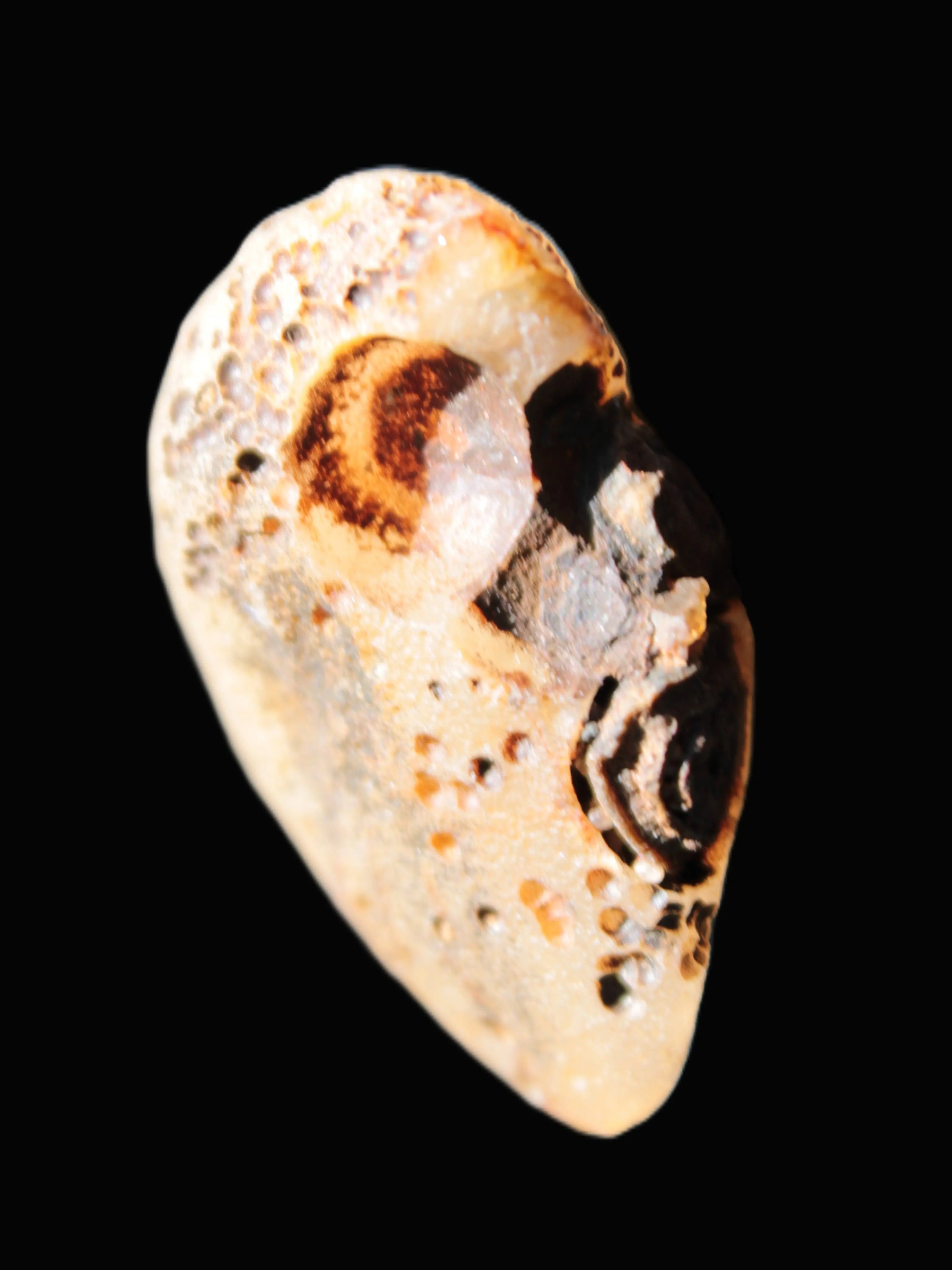 Gobi Agate Eyes specimen from Mongolia 40*30*16mm 24.5g Rocks and Things Store
