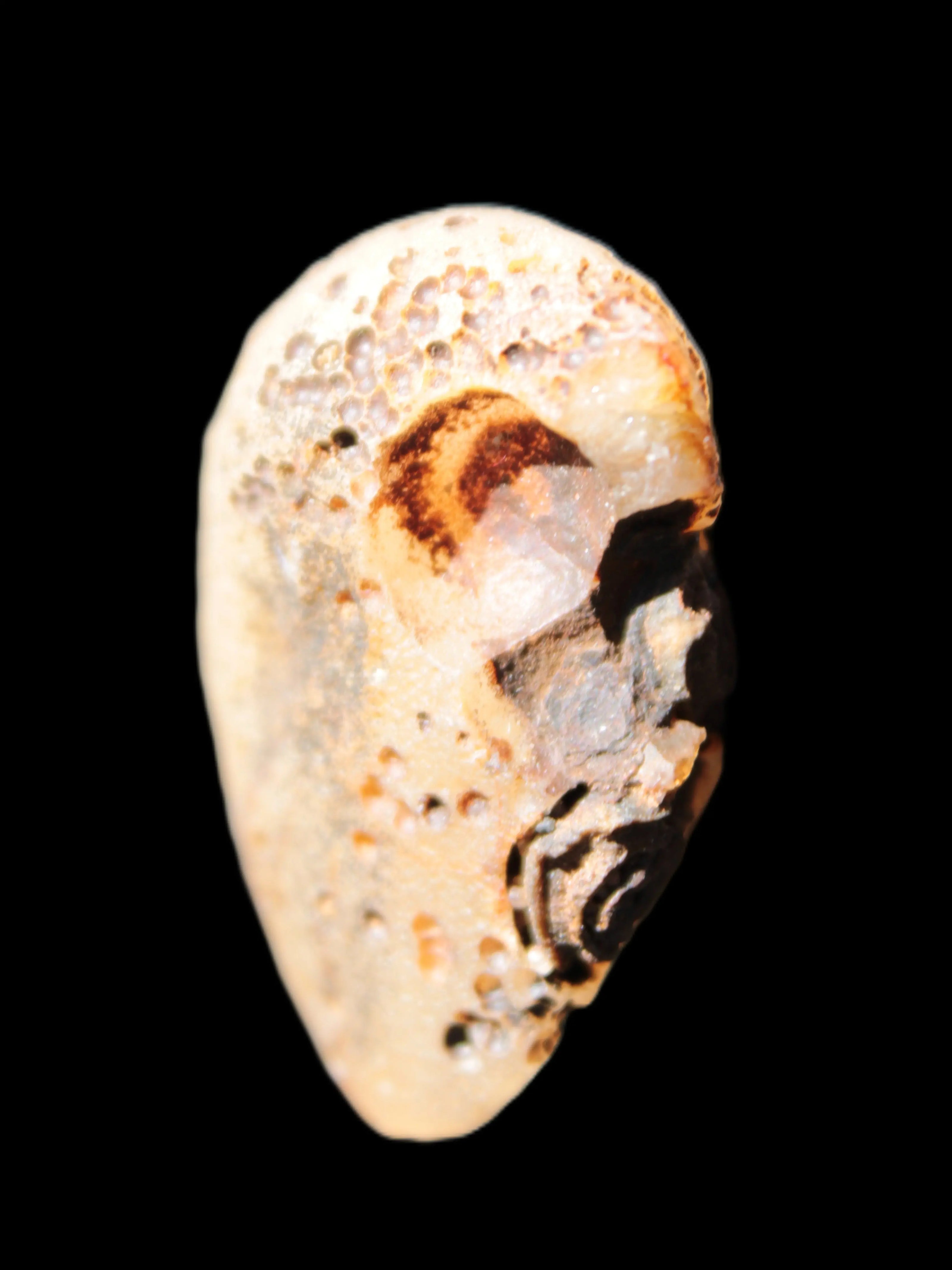 Gobi Agate Eyes specimen from Mongolia 40*30*16mm 24.5g Rocks and Things Store