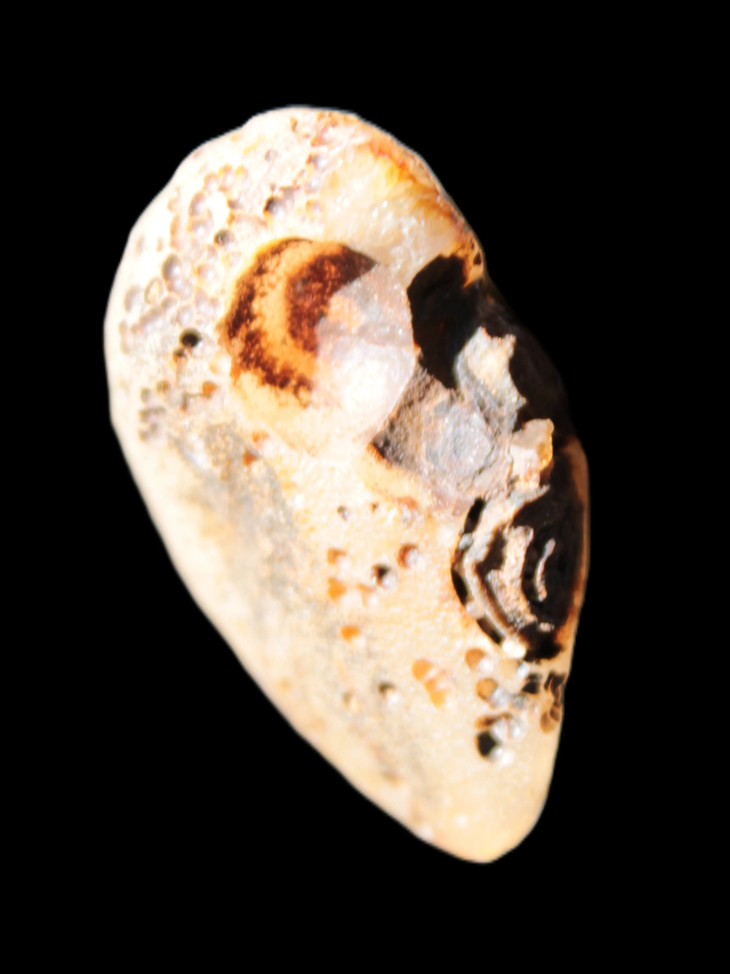 Gobi Agate Eyes specimen from Mongolia 40*30*16mm 24.5g Rocks and Things Store