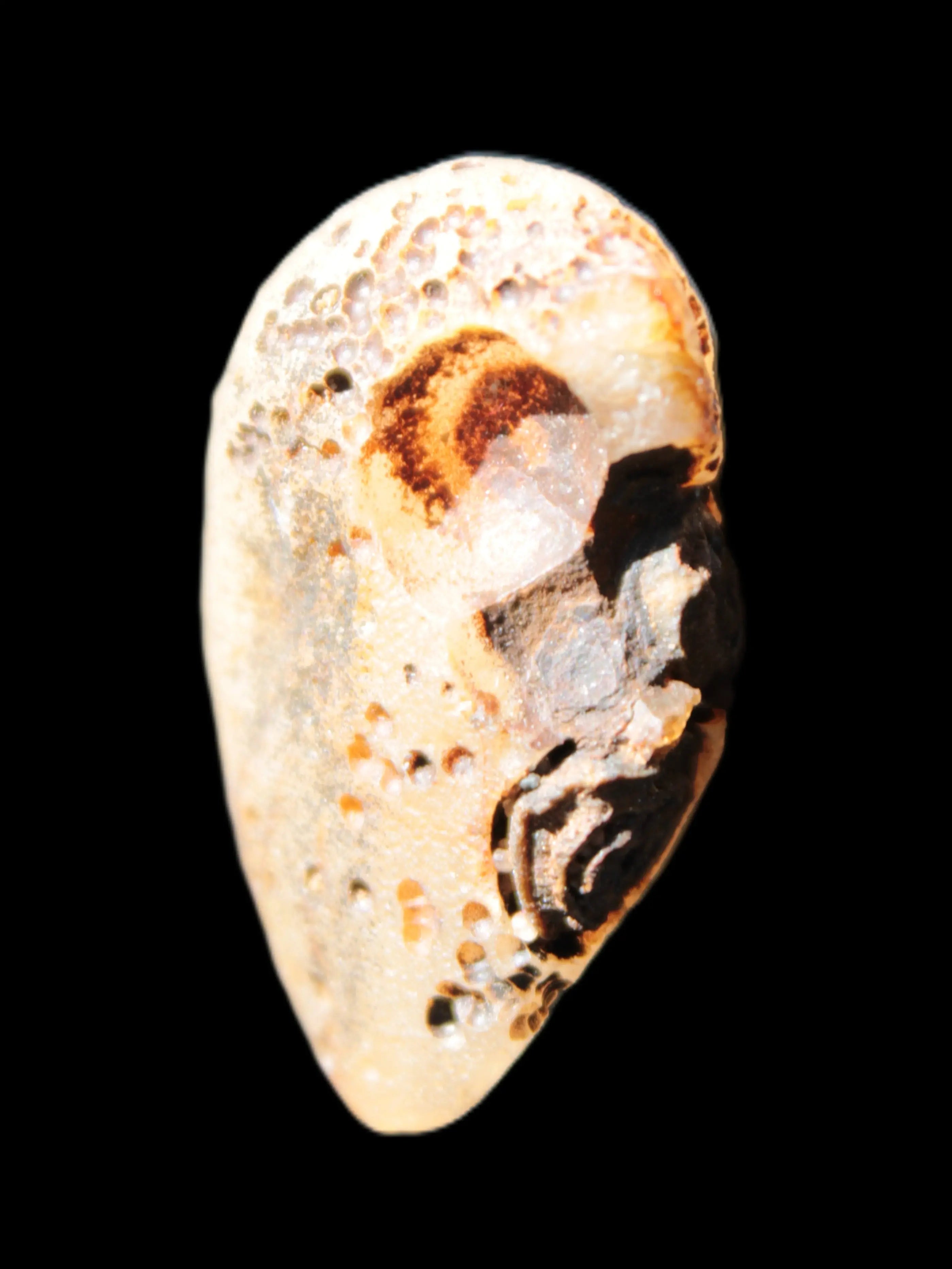 Gobi Agate Eyes specimen from Mongolia 40*30*16mm 24.5g Rocks and Things Store