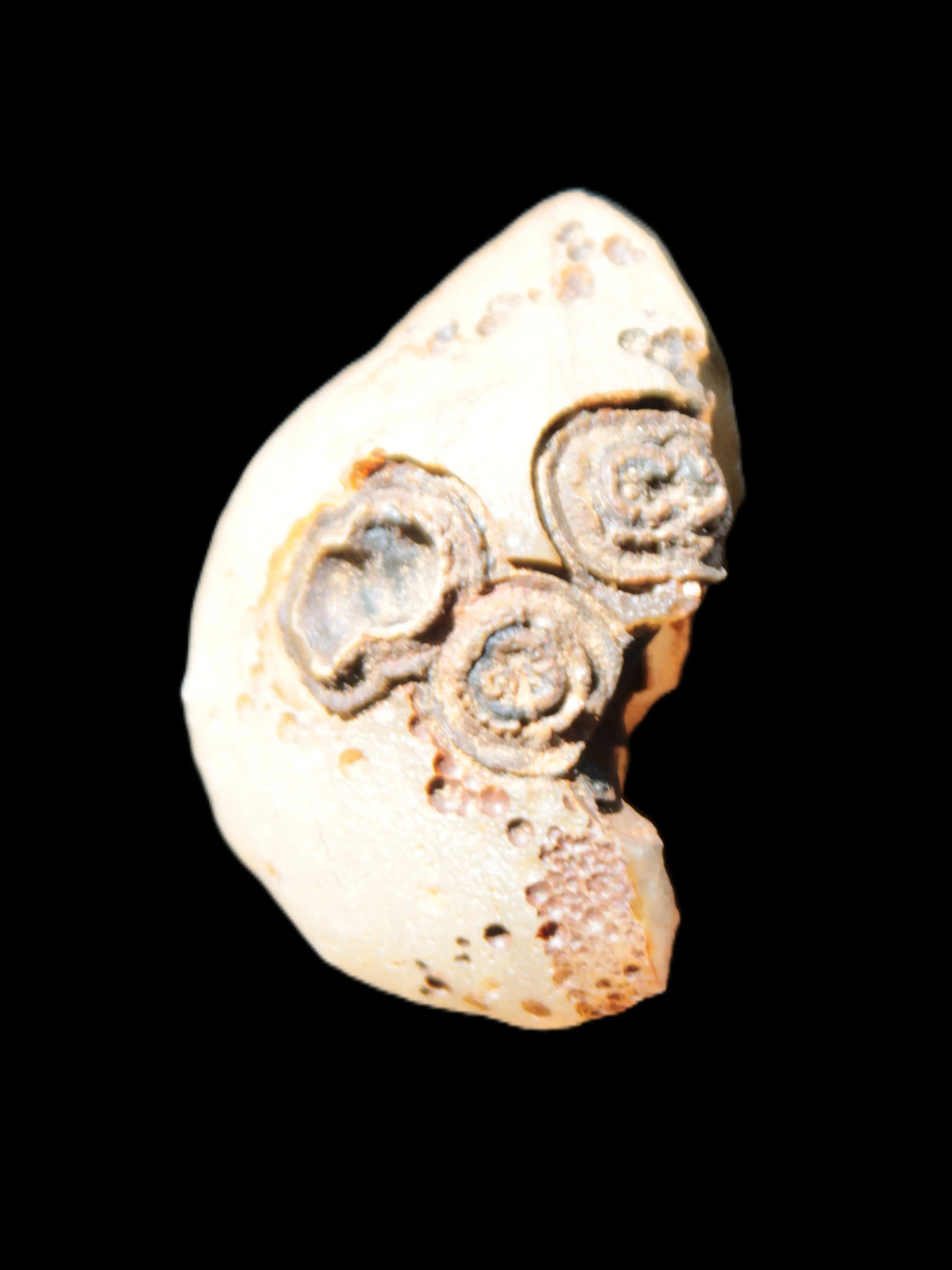 Gobi Agate Eyes specimen from Mongolia 40*30*16mm 24.5g Rocks and Things Store