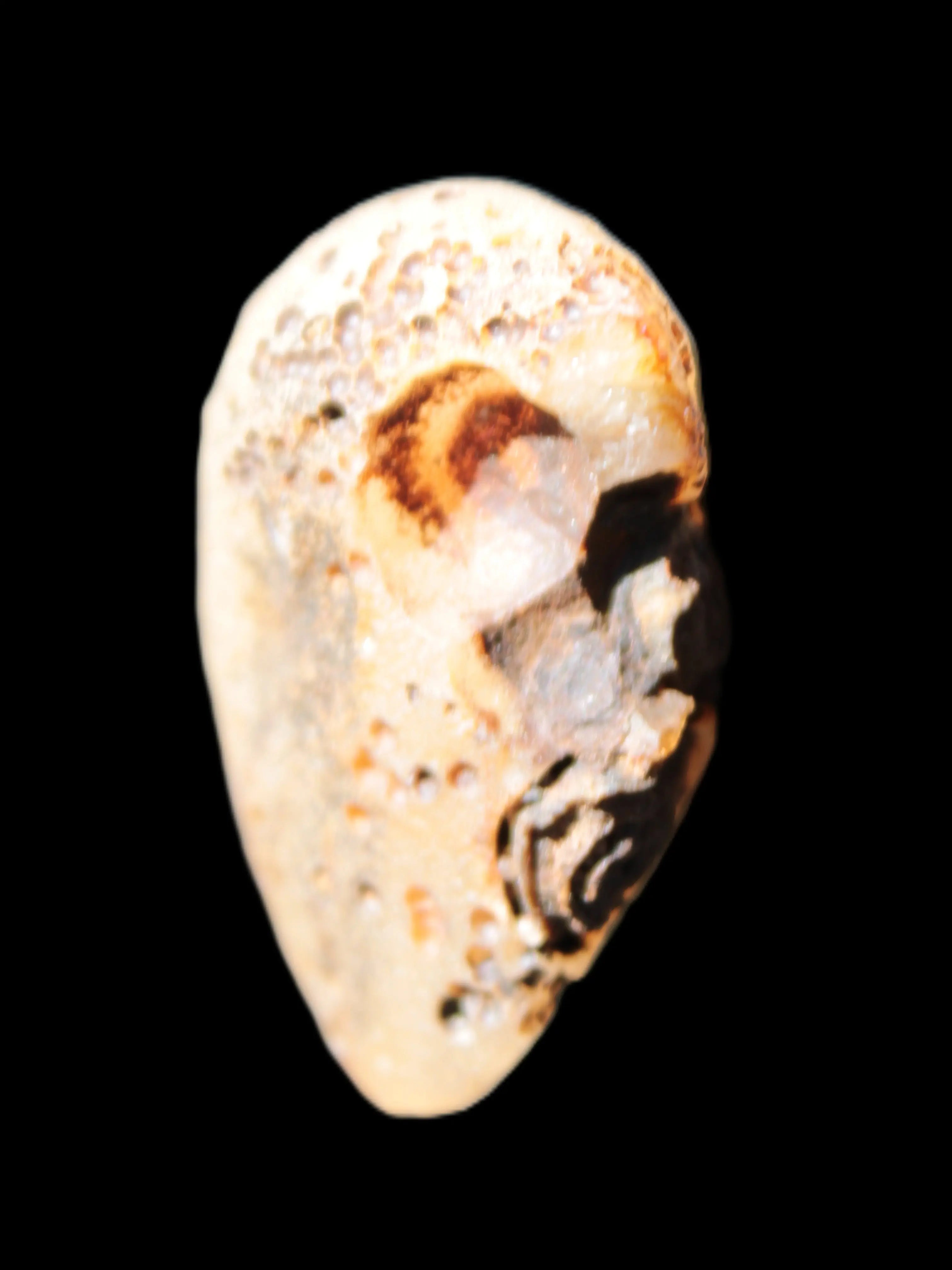 Gobi Agate Eyes specimen from Mongolia 40*30*16mm 24.5g Rocks and Things Store