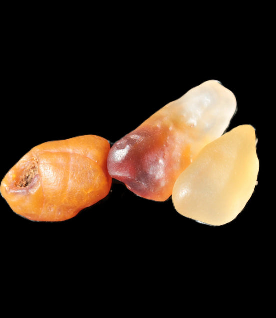 Gobi Alashan candy Agate 3-9 stones 6-8g Rocks and Things