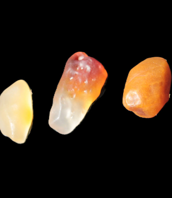 Gobi Alashan candy Agate 3-9 stones 6-8g Rocks and Things