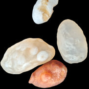 Gobi Alashan candy Agate 4/5 stones 8-12g Rocks and Things