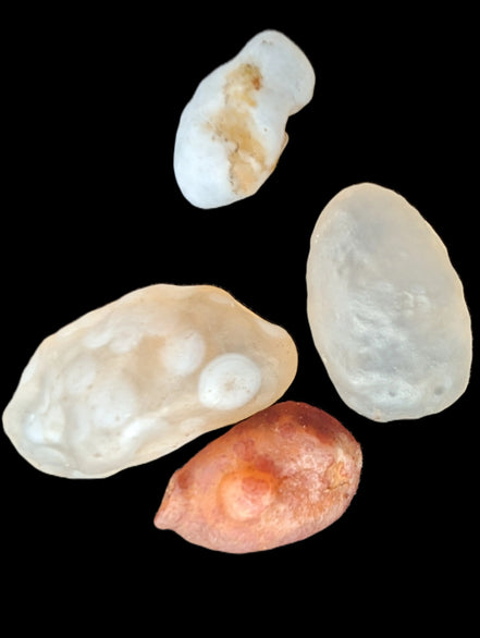 Gobi Alashan candy Agate 4/5 stones 8-12g Rocks and Things