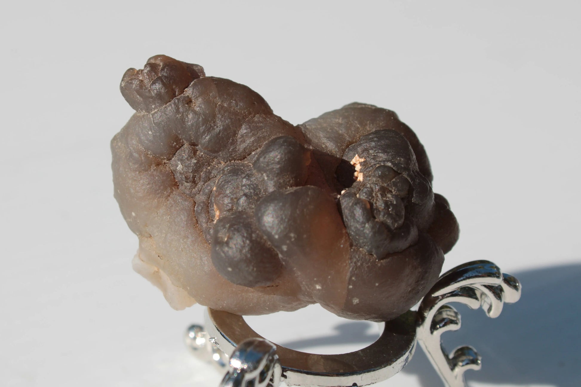 Gobi Desert Agate - Tardigrade Suiseki Stone 56g Rocks and Things