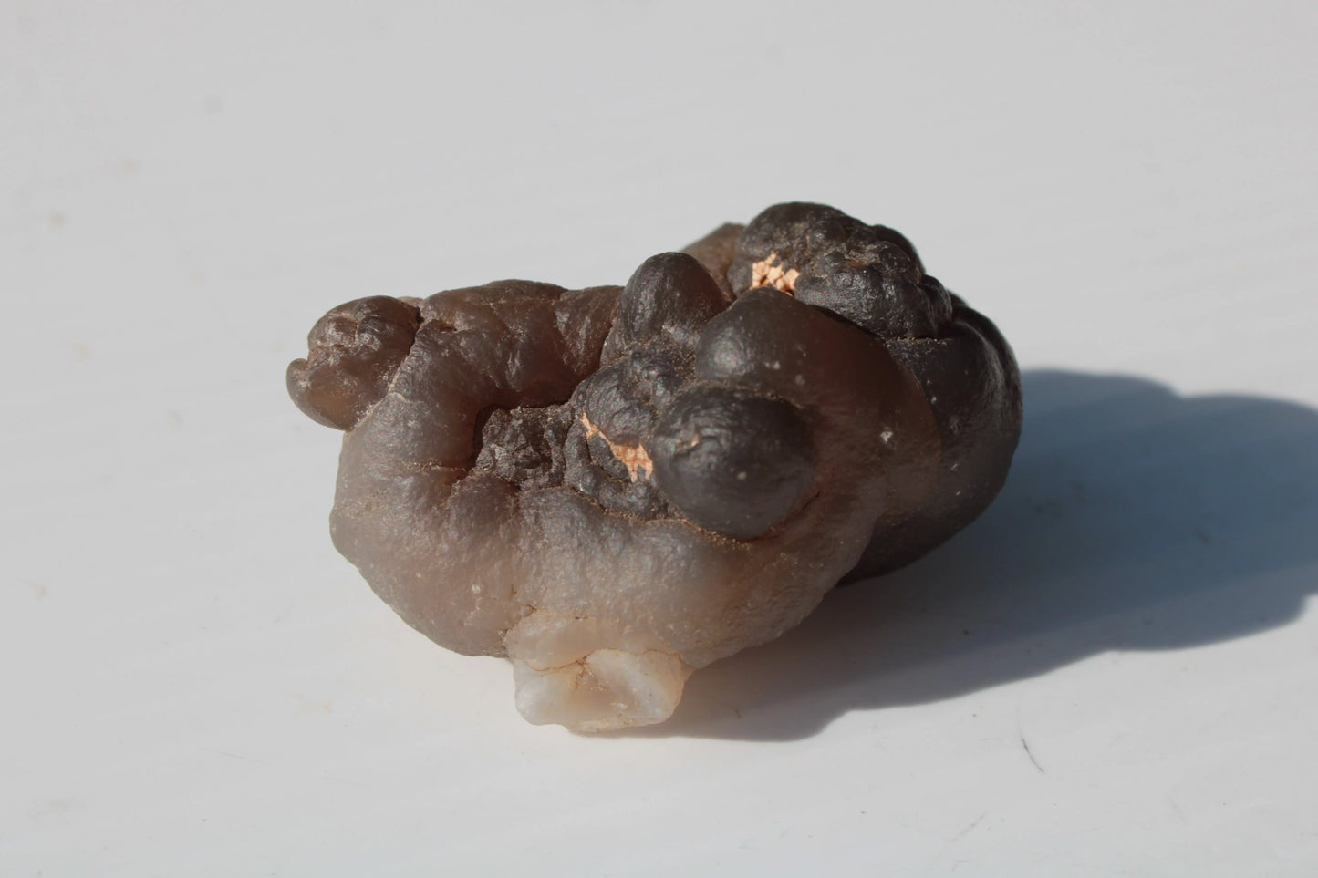 Gobi Desert Agate - Tardigrade Suiseki Stone 56g Rocks and Things