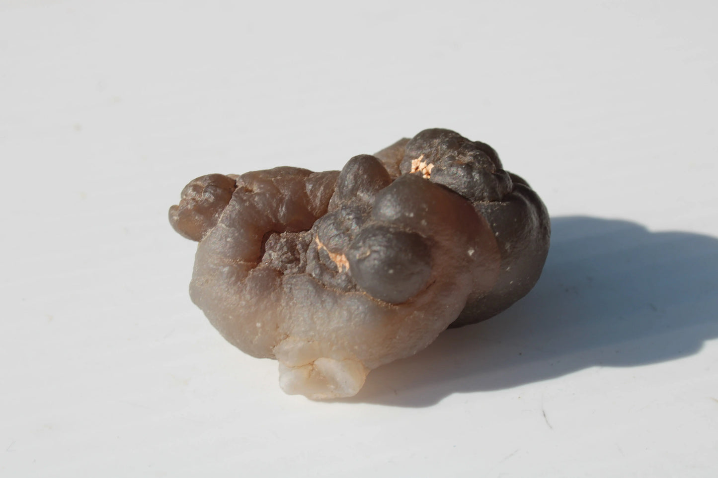 Gobi Desert Agate - Tardigrade Suiseki Stone 56g Rocks and Things