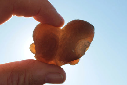 Gobi Desert Agate - Tardigrade Suiseki Stone 56g Rocks and Things