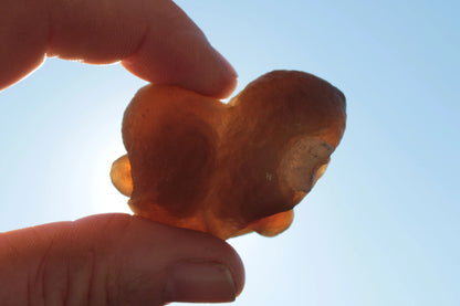 Gobi Desert Agate - Tardigrade Suiseki Stone 56g Rocks and Things