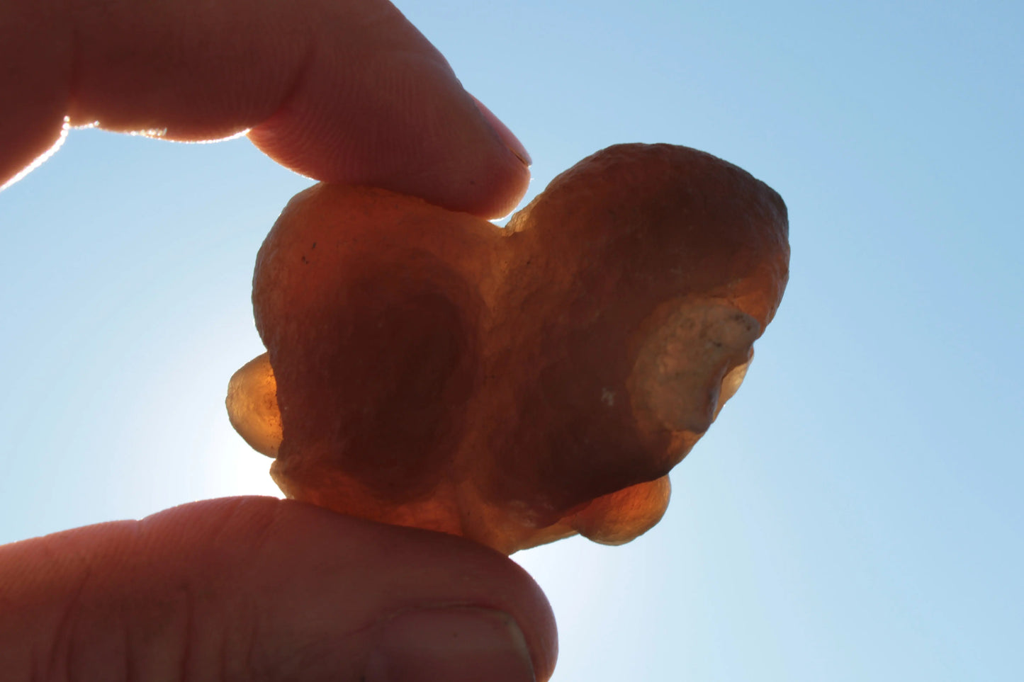 Gobi Desert Agate - Tardigrade Suiseki Stone 56g Rocks and Things