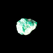 Green Dioptase Emerandine specimen 8*11*14mm from the Congo 2.1g in bright sunlight - Rocks and Things Store