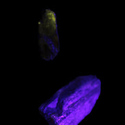 Green Tourmaline crystals 9-12g in UV light