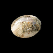 Green Tourmaline in Quartz small polished crystal 9g Rocks and Things