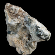 Green Tourmaline with Mica matrix from Skardu, Pakistan 216.5ct 43.3g Rocks and Things