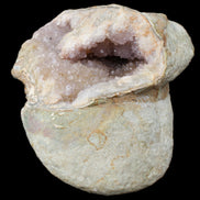 Pink and Violet Amethyst slipper geode 260*190*115mm 3500g in sunlight - Rocks and Things Store