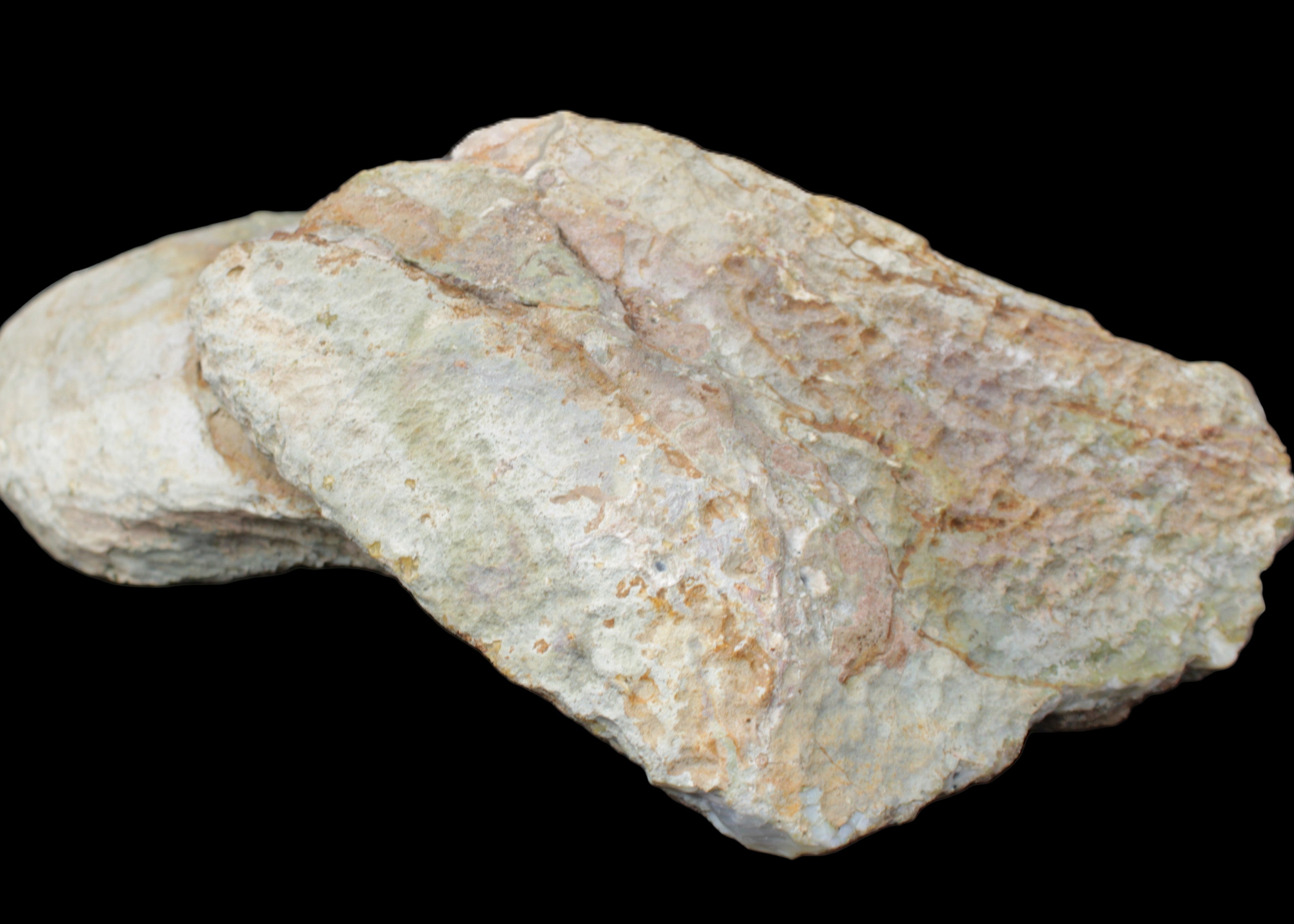 Pink and Violet Amethyst slipper geode 260*190*115mm 3500g in sunlight - Rocks and Things Store