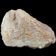 Pink and Violet Amethyst slipper geode 260*190*115mm 3500g in sunlight - Rocks and Things Store