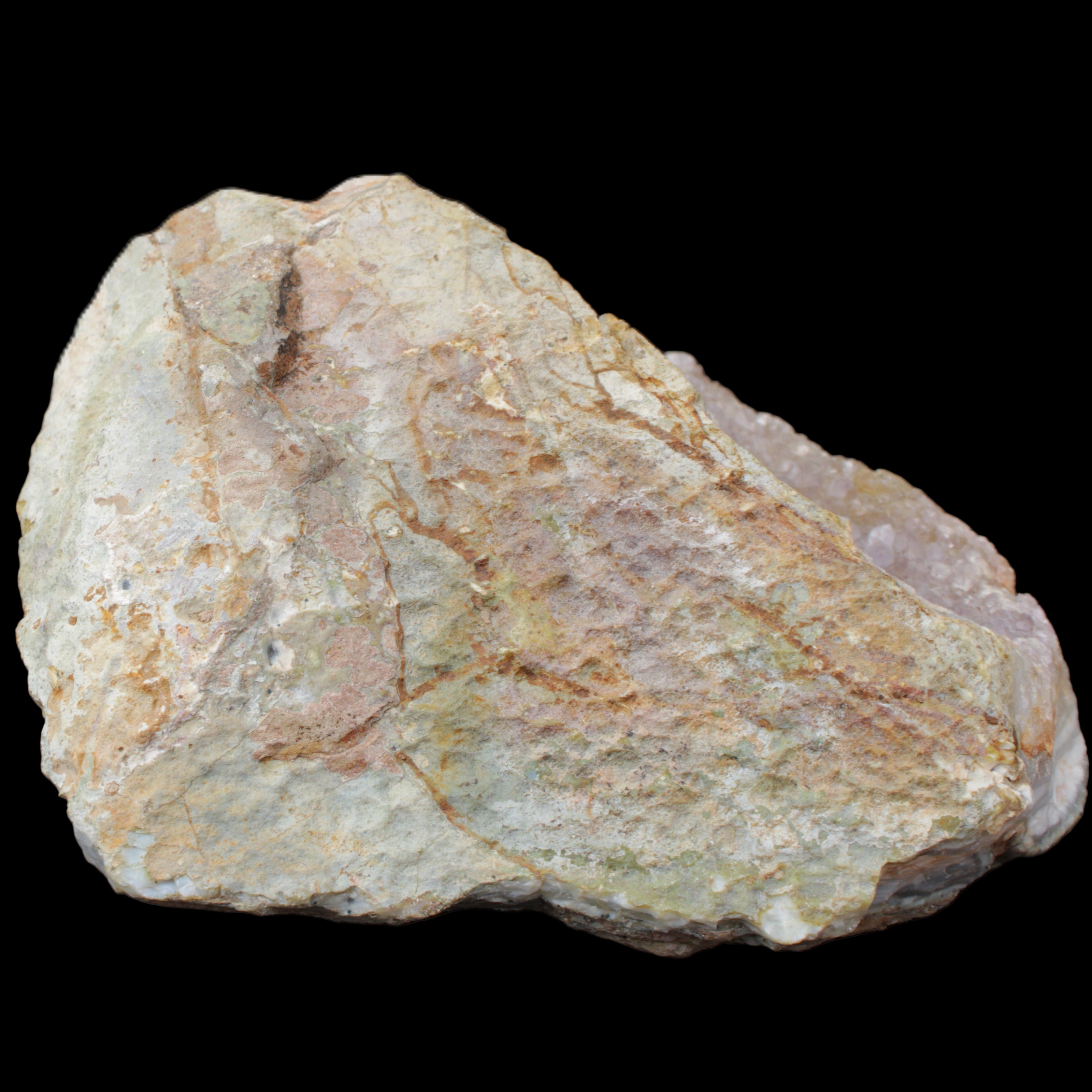 Pink and Violet Amethyst slipper geode 260*190*115mm 3500g in sunlight - Rocks and Things Store