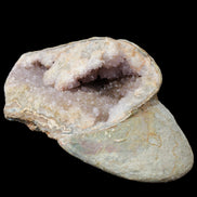 Pink and Violet Amethyst slipper geode 260*190*115mm 3500g in sunlight - Rocks and Things Store