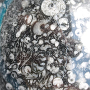 Huge Orthoceras sphere 192mm 10420g Rocks and Things Store