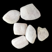 Kunzite 6-8g Rocks and Things