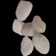 Kunzite 6-8g Rocks and Things