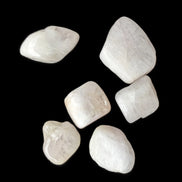 Kunzite 6-8g Rocks and Things