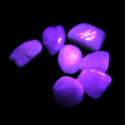 Small polished Kunzite crystals 6-8g in UV light