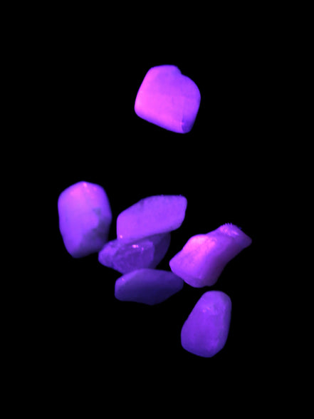 Small polished Kunzite crystals 6-8g in UV light
