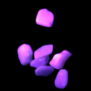 Small polished Kunzite crystals 6-8g in UV light